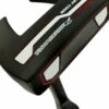 Ray Cook Sr200 Putter