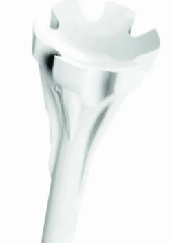 Champ White Zarma Fly Tee 69Mm -Professional Golf Shop IMG 1482